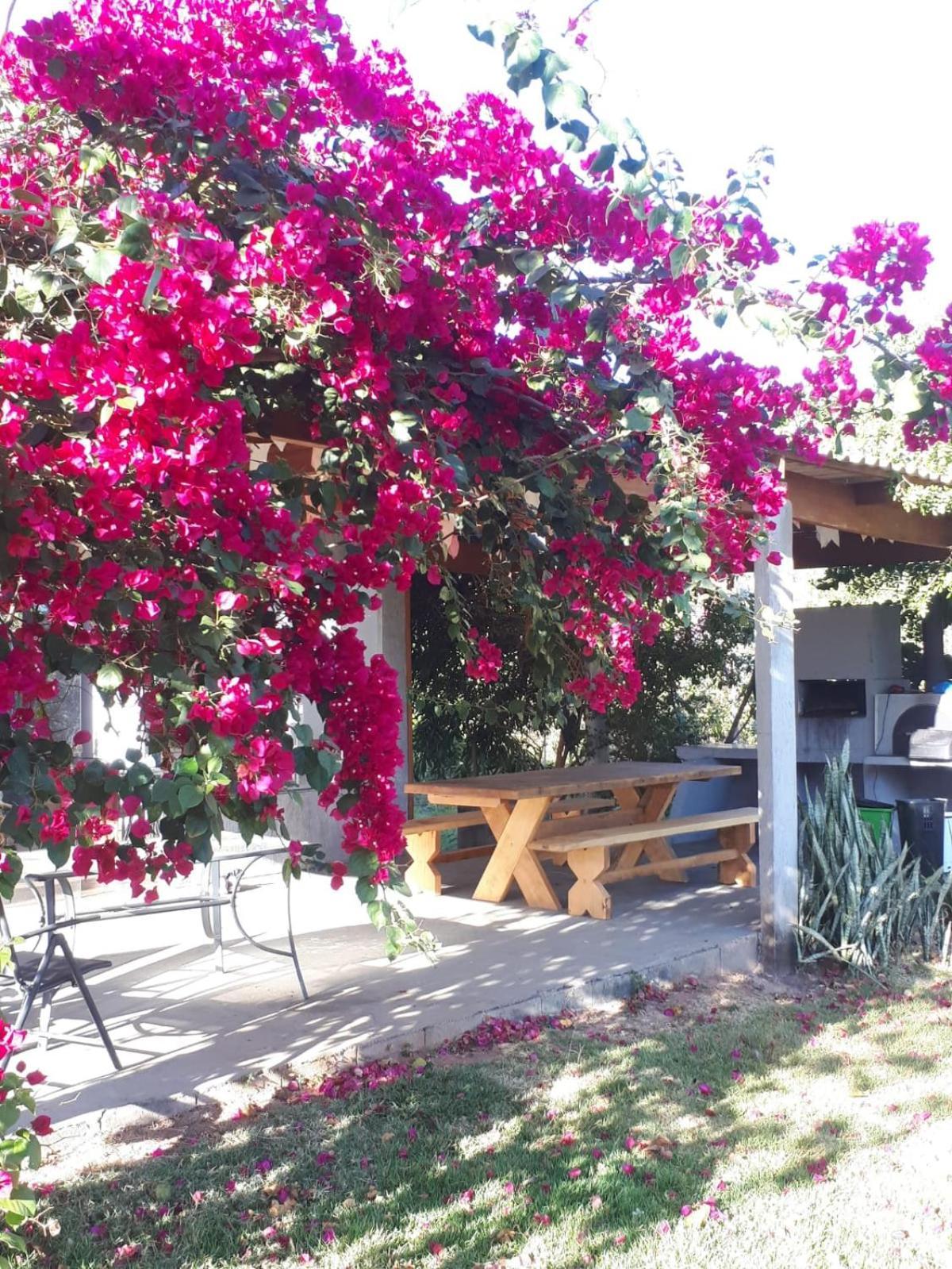Villa Reserva Jasmim Manga Pirenópolis Exterior foto
